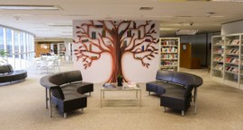 Foto da Biblioteca do TSE Alysson Darowish Mitraud, que completa 80 anos nesta quinta-feira (30)...