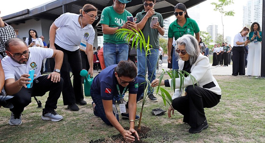 Presidente do TSE, ministra Cármen Lúcia, planta muda nativa durante o Fórum Nacional VerDemocracia