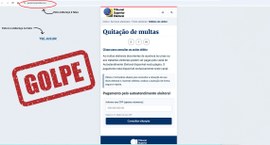 Print de uma página na internet que pratica tentativa de golpe sobre regularização eleitoral
