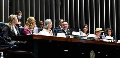 21 Dias de Ativismo pelo Fim da Violência contra a Mulher: sub-representatividade feminina na po...