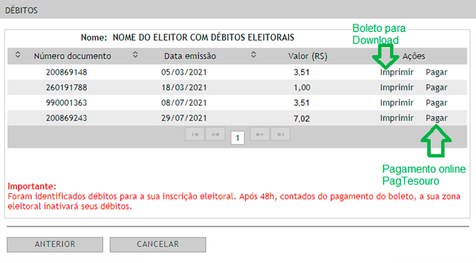 Ao acessar pela plataforma Título Net, as multas aparecerão dessa forma, com as opções de pagame...