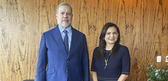 Audiências com representantes de Missões de Observação Eleitoral - 06.10.2026