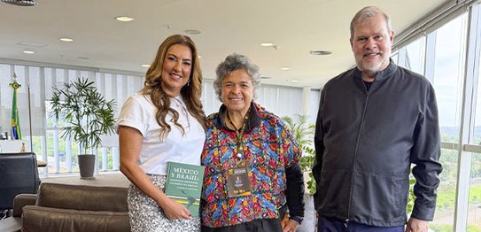 Audiências com representantes de Missões de Observação Eleitoral - 06.10.2026