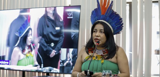 Audiências Públicas TSE - TRE do Pará - 11.02.2026