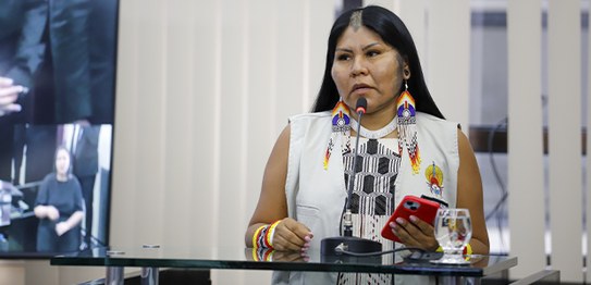 Audiências Públicas TSE - TRE do Pará - 11.02.2026