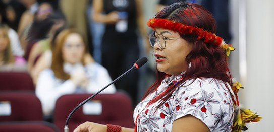 Audiências Públicas TSE - TRE do Pará - 11.02.2026