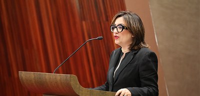 secretária-geral da Associação Luso-Alemã de Juristas e coordenadora do Fórum Jurídico Brasil-Al...