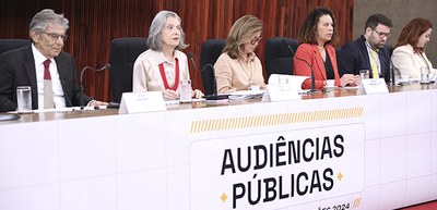 Foto: Alejandro Zambrana/Secom/TSE - Audiência Pública - Resoluções das Eleições 2024 – 24.01.2024