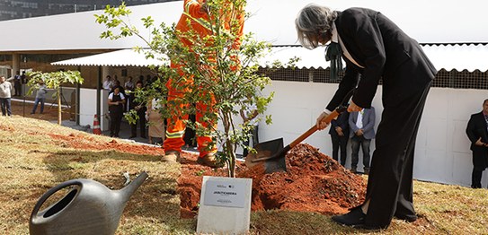 Foto: Alejandro Zambrana/Secom/TSE - Inauguração Jardim da Democracia - Ministra Cármen Lúcia - ...