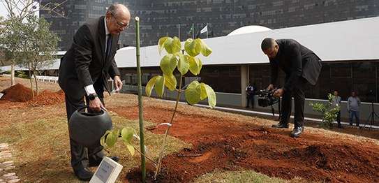 Foto: Alejandro Zambrana/Secom/TSE - Inauguração Jardim da Democracia - Ministra Cármen Lúcia - ...