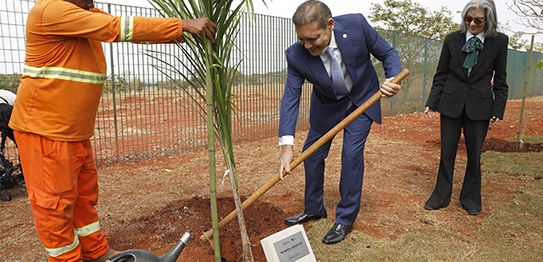 Foto: Alejandro Zambrana/Secom/TSE - Inauguração Jardim da Democracia - Ministra Cármen Lúcia - ...