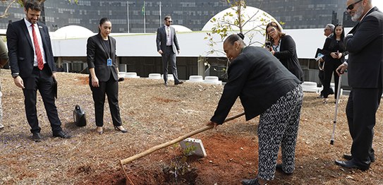 Foto: Alejandro Zambrana/Secom/TSE - Inauguração Jardim da Democracia - Ministra Cármen Lúcia - ...