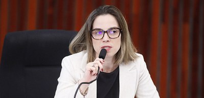 Foto: Alejandro Zambrana/Secom/TSE - Painel Integridade do Processo Eleitoral no Mundo Digital -...
