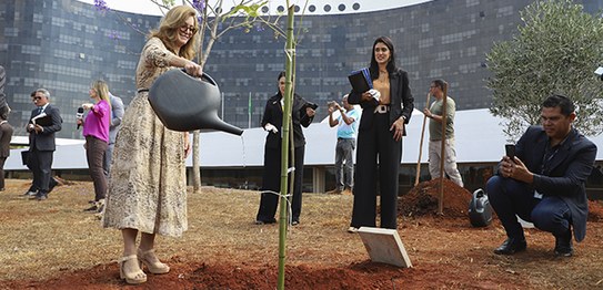 Foto: Alejandro Zambrana/Secom/TSE - Inauguração Jardim da Democracia - Ministra Cármen Lúcia - ...