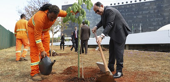 Foto: Alejandro Zambrana/Secom/TSE - Inauguração Jardim da Democracia - Ministra Cármen Lúcia - ...