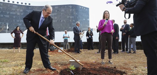 Foto: Alejandro Zambrana/Secom/TSE - Inauguração Jardim da Democracia - Ministra Cármen Lúcia - ...