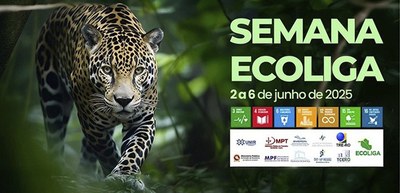 JE pelo Brasil Dia do Meio Ambiente 04.06.2025