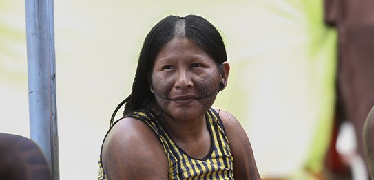 Maioria do eleitorado autodeclarado indígena é feminino: 52% são mulheres. Foto: Luiz Roberto/TS...