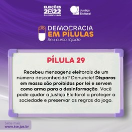 Democracia em pílulas contra a desinformação -  29.06.2022