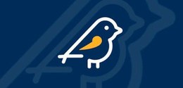 TSE_Logo Pardal 2026 - 20.08.2026