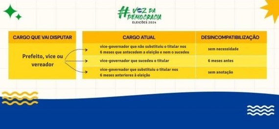 19.03.24 Desincompatibilização vice-governador